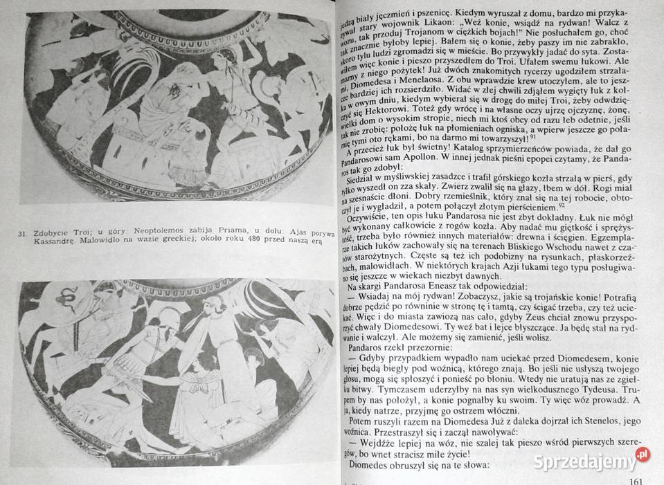 Wojna Trojańska Mit i historia Aleksander Chełm