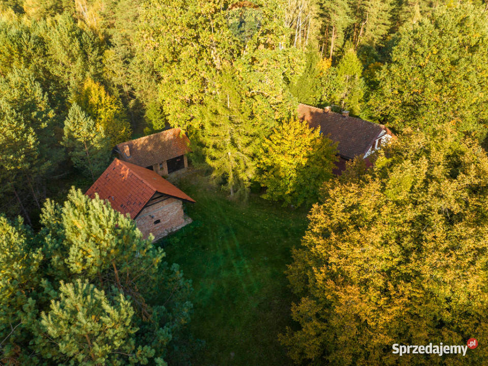 Siedlisko w otulinie lasu Sprzedaż warmińsko-mazurskie Stryjkowo