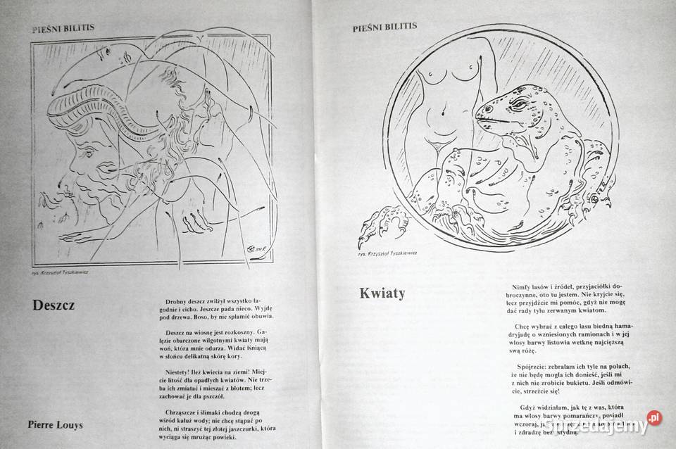 Fikcje i fakty Attyla Zemsta Arymana lubelskie Chełm sprzedam