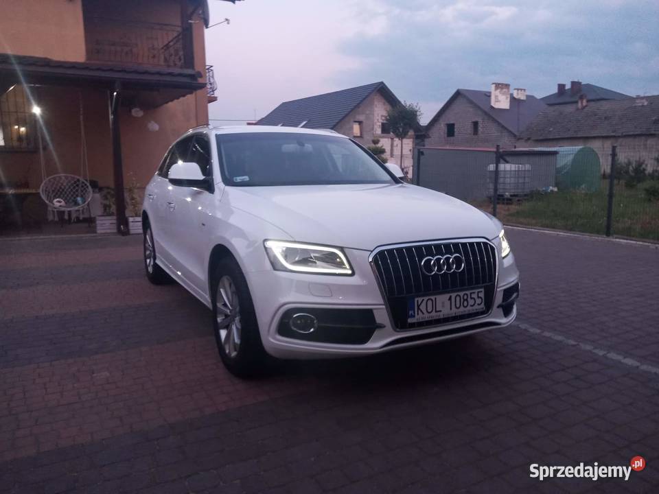 Audi Q5 1WłascicielSalon Polskabezwypadkowy diesel Wolbrom