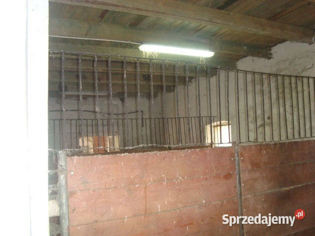 sprzedaży lokalu 500m2 Wałbrzych Ilość pomieszczeń 0