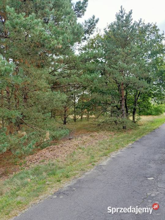 Działka Świbinki rolna z warunkami zabudowy 1436m2