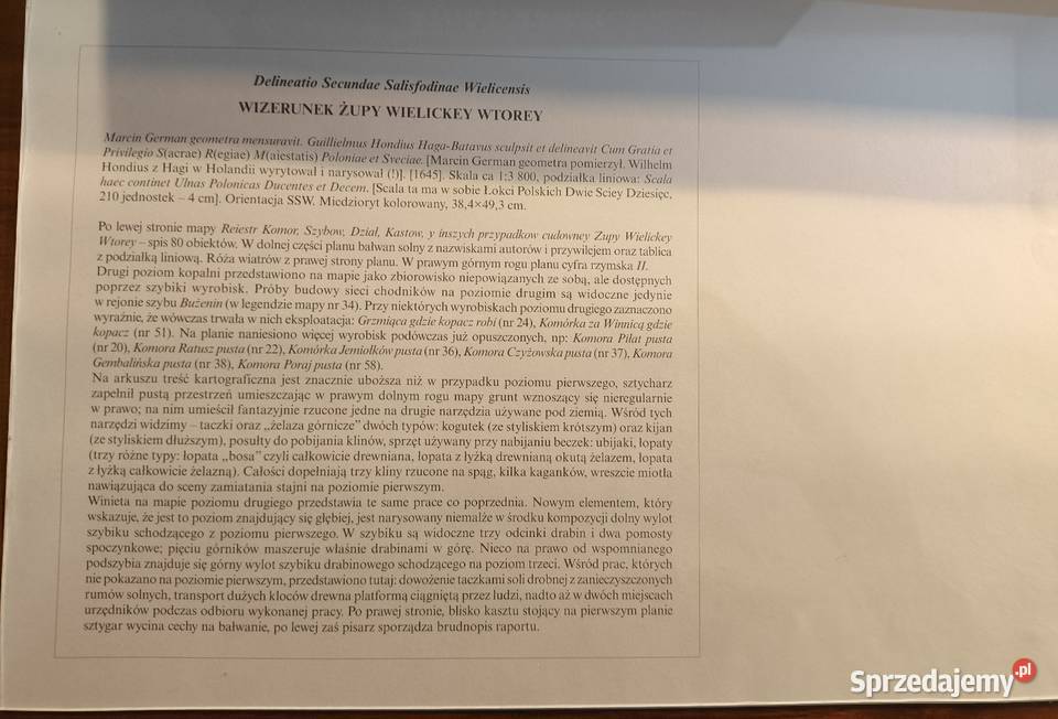Wizerunek Żupy Wielickey Wtorey reprint