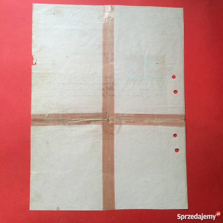 765 Certyfikat Przynależności Łoński zachodniopomorskie Szczecin