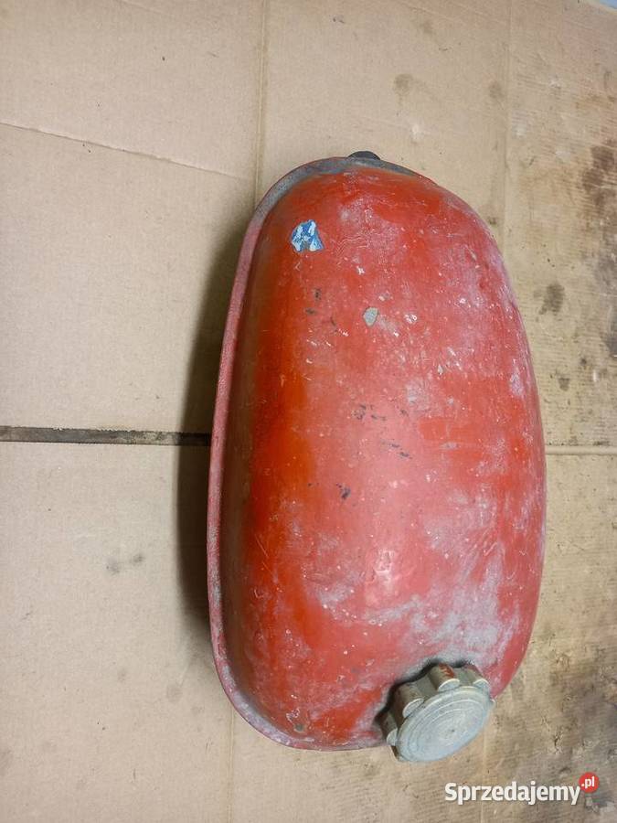 Bak komar sztywniak Sokołów Podlaski