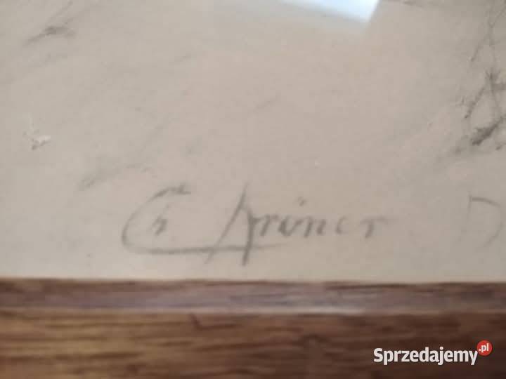 Obraz z Historią Gorbersdorf Dziki Obrazki i obrazy dolnośląskie Wałbrzych