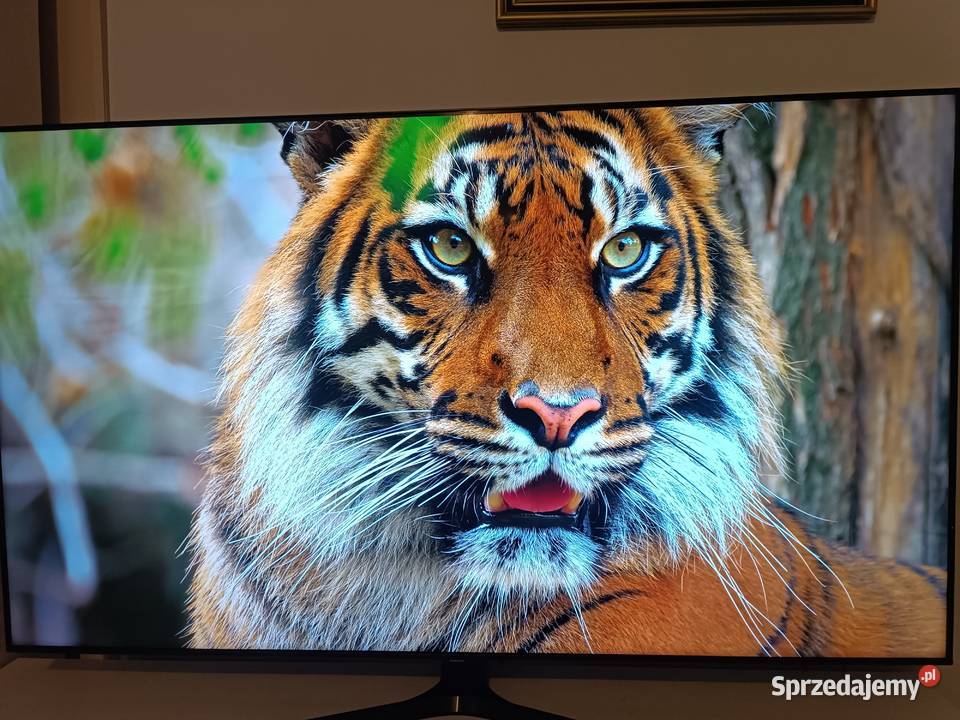 Telewizor Samsung UE65TU8502U 65 4K Smart TV Libiąż