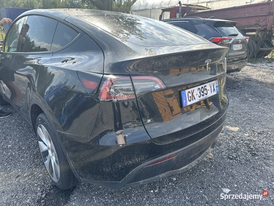Tesla Y RWD Warszawa