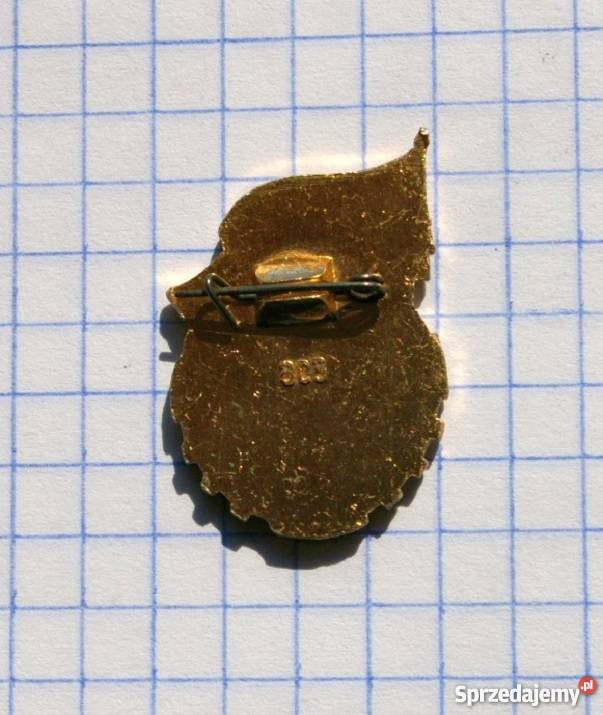 PRZODOWNIK W SPORCIE ODZNAKA I KLASY Z BYŁEGO