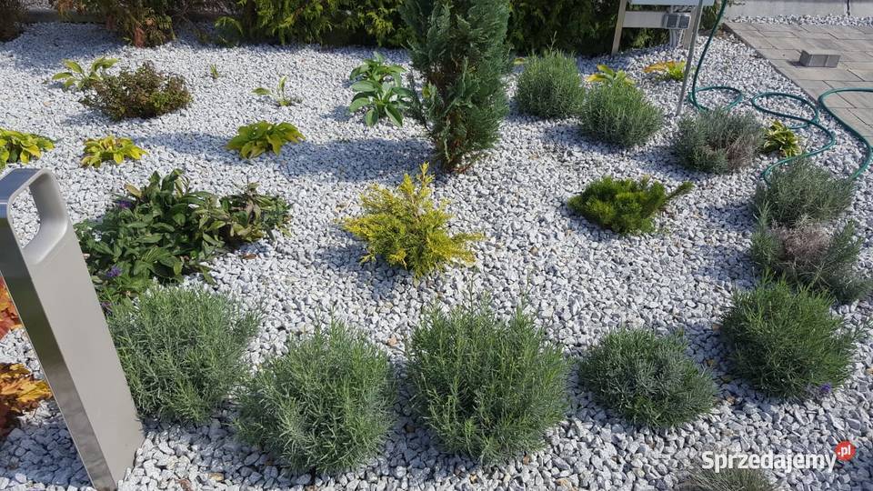 Grys granitowy dalmatyńczyk Materiały budowlane sprzedam