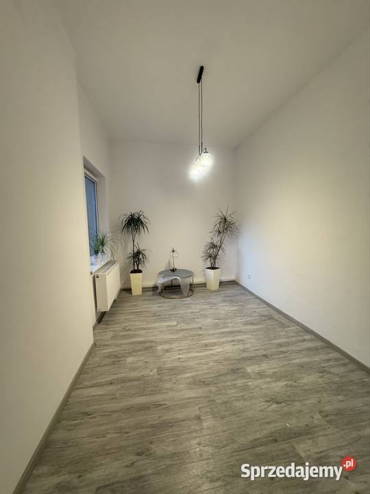 TOP MIESZKANIE 100m Centrum Opola opolskie Opole