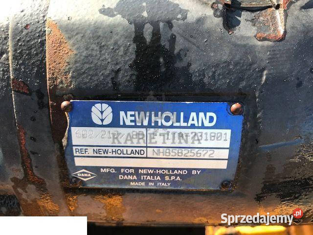 holland LM 415 Zwolnica Zwrotnica Most Piasta wielkopolskie Jastrzębniki