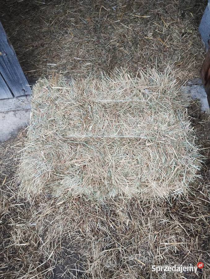 Siano w kostkach Trawy, słoma mazowieckie Zwoleń