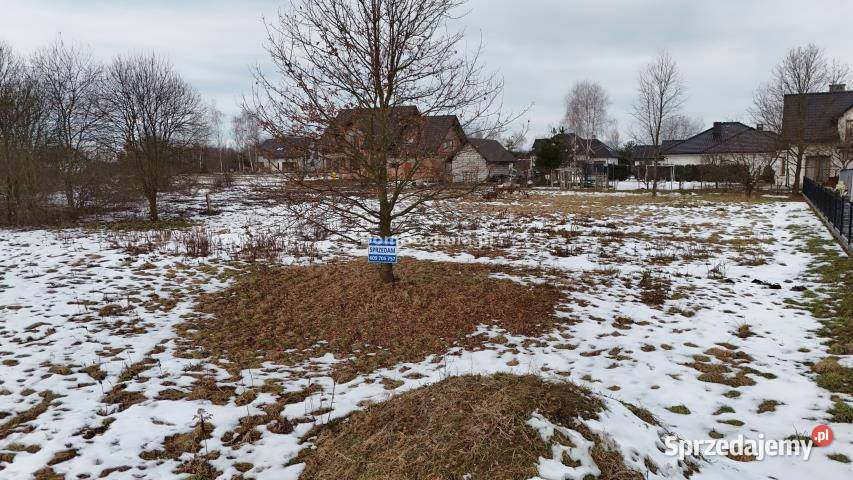 sprzedaży działki Borek 1527m2 sprzedam