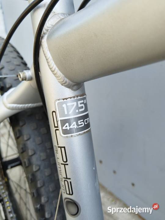 Trek Series 6 Inowrocław