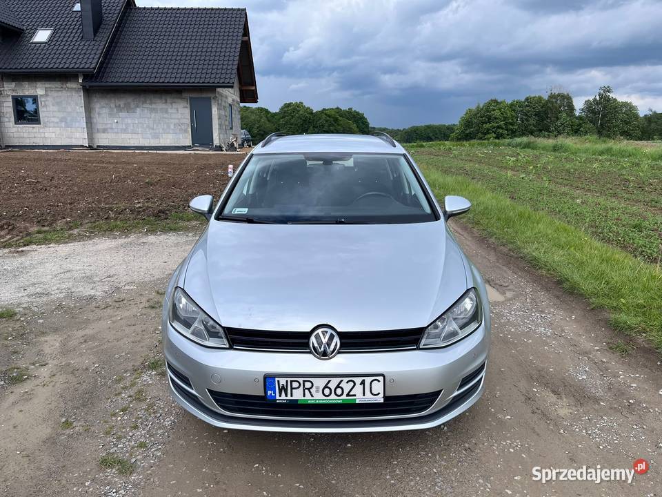 Volkswagen Golf Jeden właściciel świeżo serwisie Bielsko-Biała