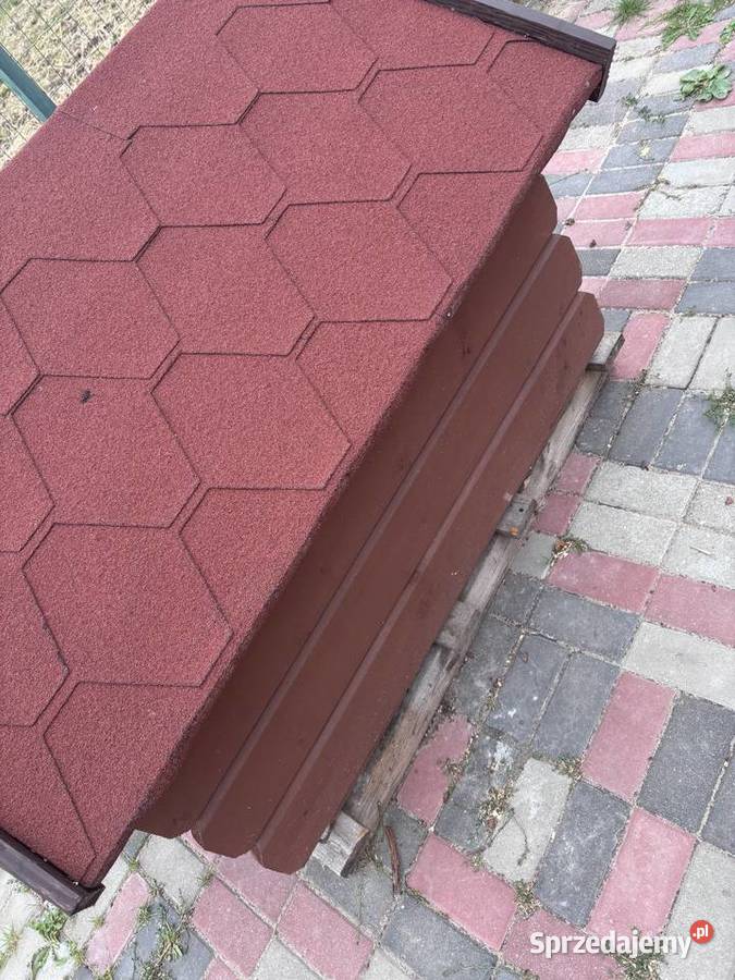 Buda psa Święta Katarzyna sprzedam