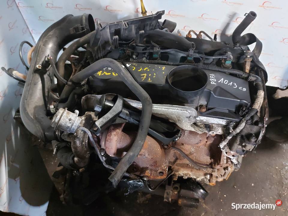 TRANSIT 22 TDCI P8FA 90 09r 196 silnik kompletny