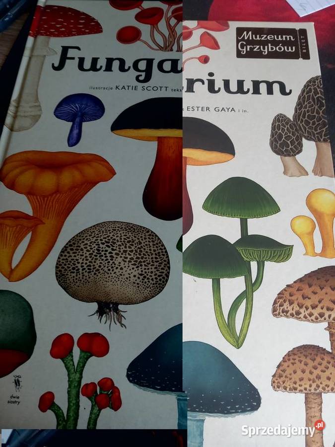 Książka o grzybach małopolskie