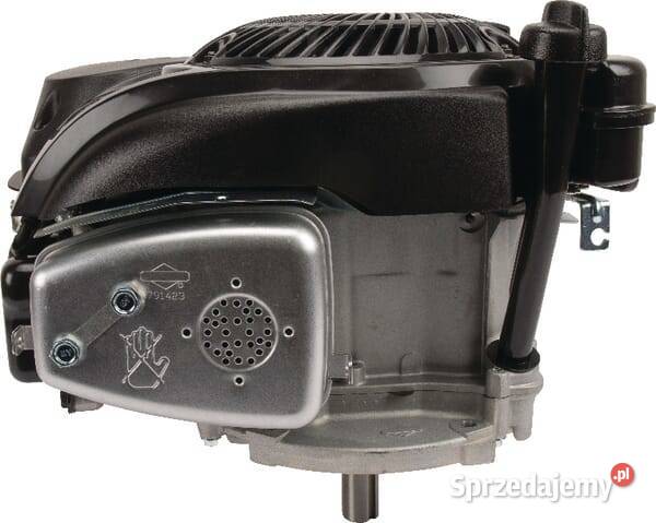 Silnik wał pionowy 50 750 EX jednocylindrowy Do maszyn uprawowych Kamionna