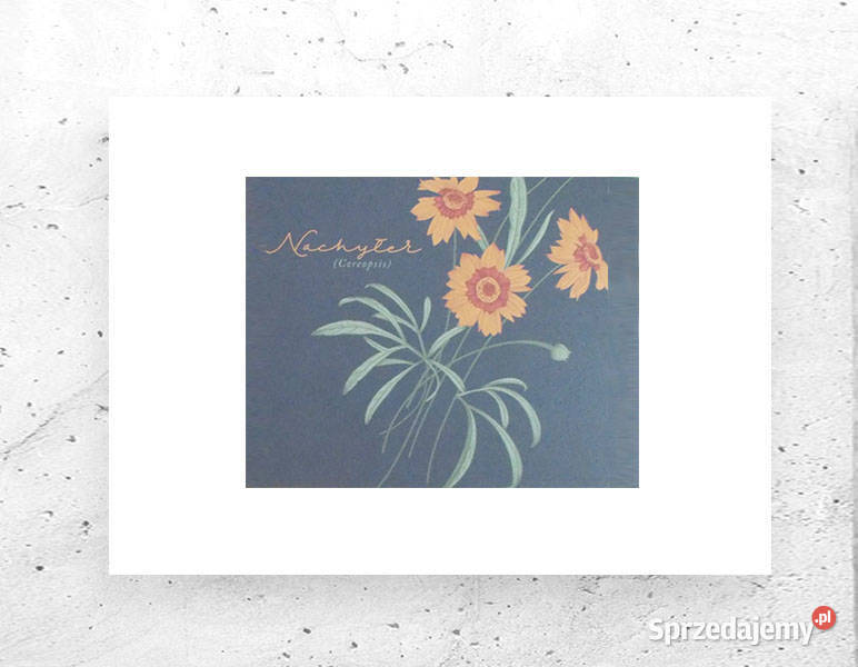 kwiatki plkat A4 boho plakat do domu vintage Bydgoszcz sprzedam