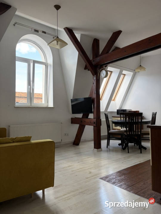 Ciche centrum Szczecina 7673 m 34 pokoje placu Szczecin