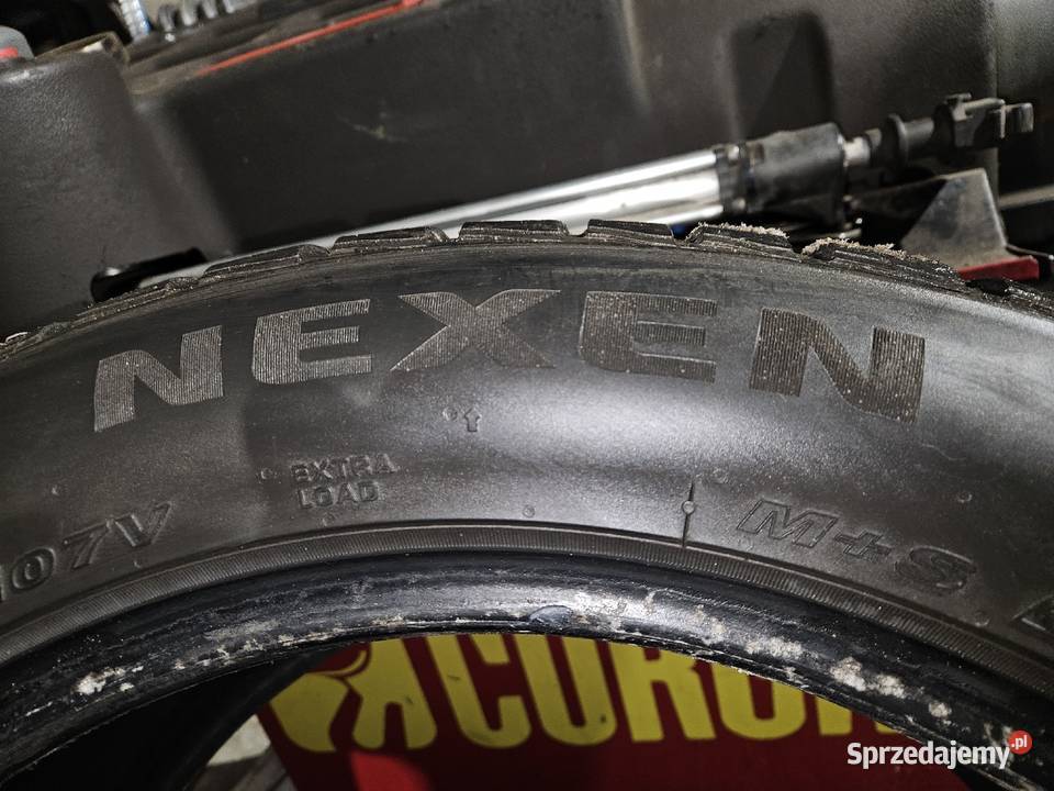 Opony 2555019 19r zima 50 Motoryzacja dolnośląskie