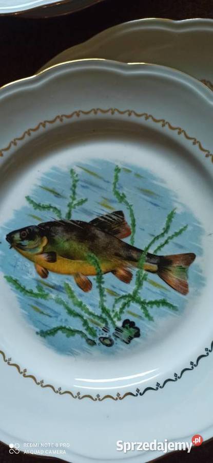 Serwis do serwowania ryb S F P France
Societye Porcelana i szkło Gdańsk sprzedam