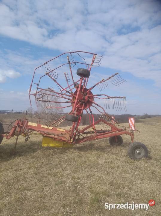 niemeyer nieuszkodzony