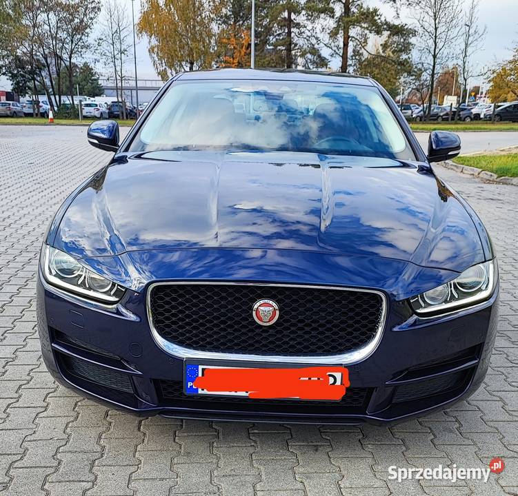 Jaguar XE nieuszkodzony Krotoszyn