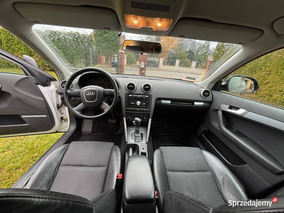 Audi A3 8P Dywity