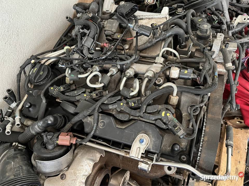 Silnik Audi 20 tdi 2021r DETB Q5 A6 A4 osobowe Bełchatów