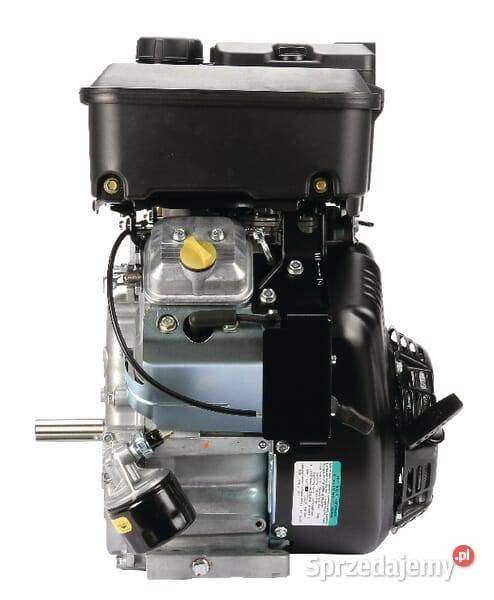 Silnik wał poziomy 18 Vanguard dwucylindrowy małopolskie Kamionna