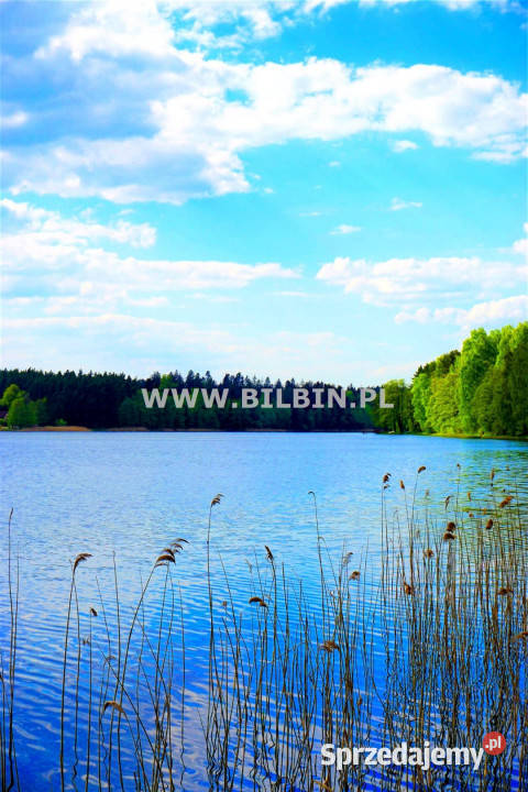 Grunt sprzedam Kotowina 1132 metry szambo sprzedam