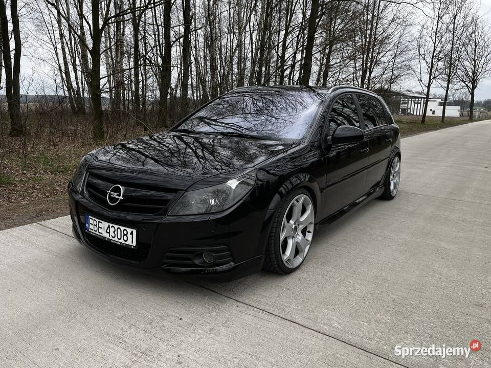 Opel Signum 19 cdti 150 OPC Line komputer pokładowy Bełchatów