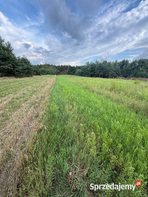 Dziełka budowlana Kuligów prąd mazowieckie