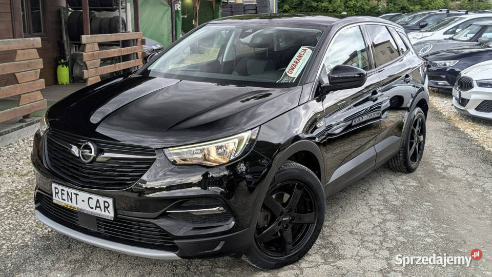 Opel Grandland X śląskie Częstochowa