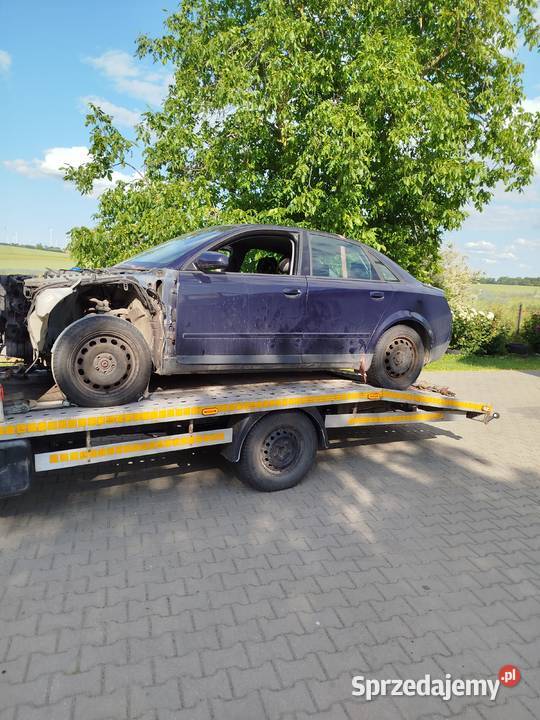 Audi a4 b6 części 19 tdi Radzyń Chełmiński