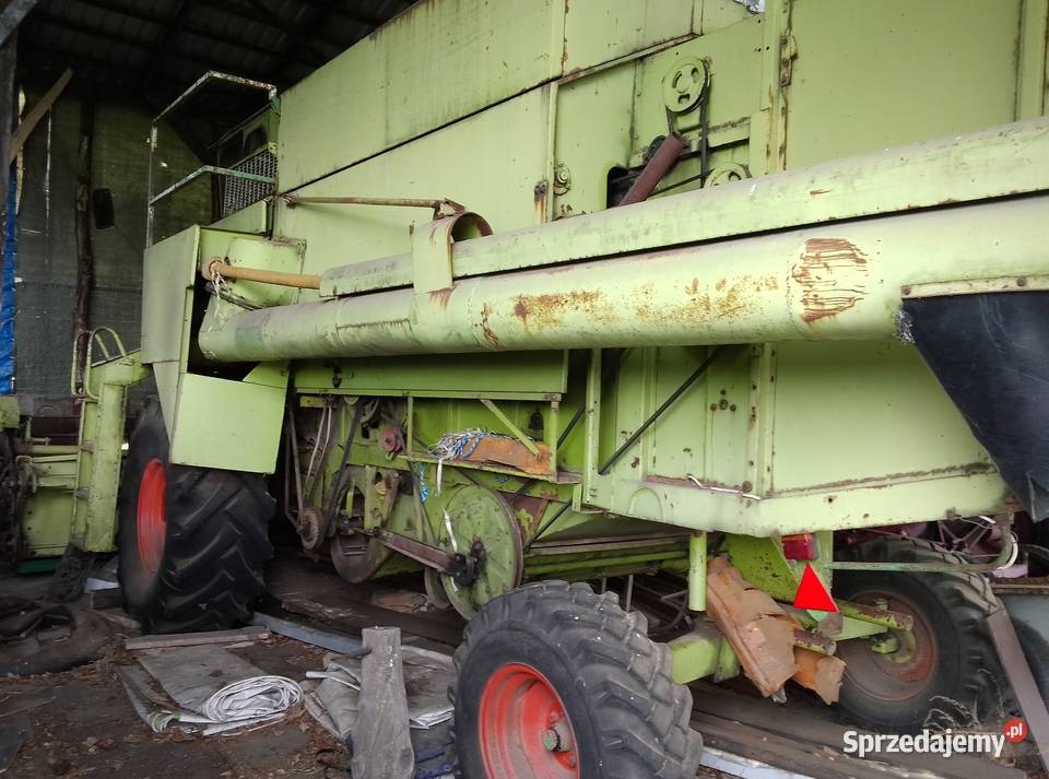 Class Dominator 80 Zbożowe kujawsko-pomorskie