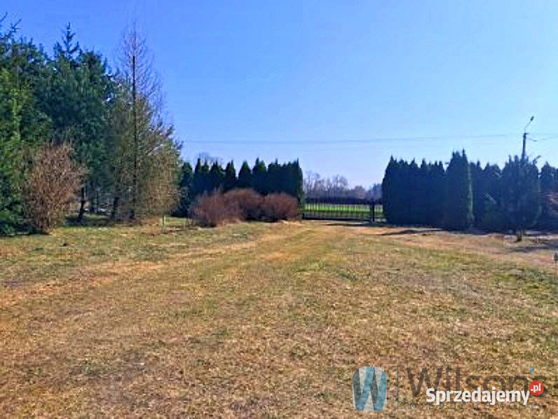 Dom wolnostojący 17743m2 Ogonowo wolnostojący sprzedam