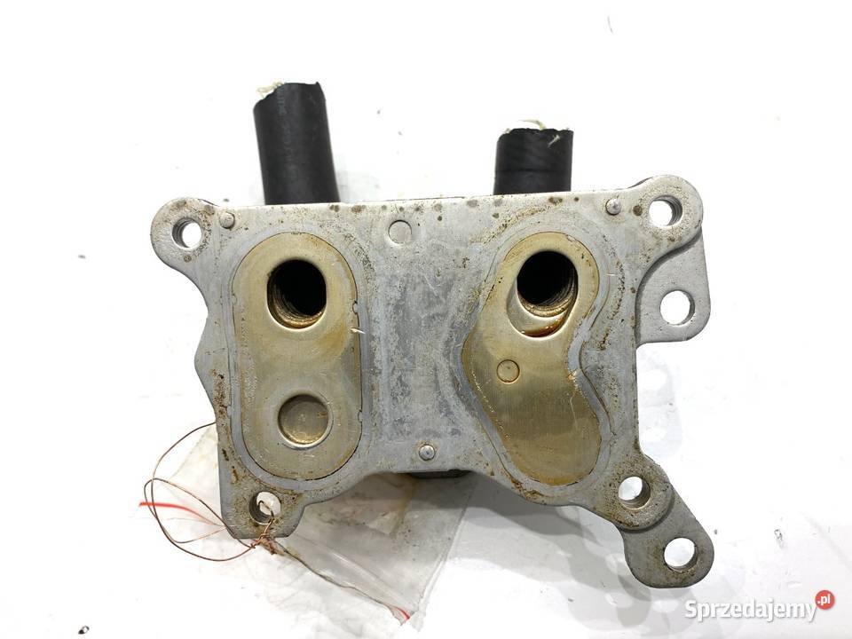 CHŁODNICA OLEJU RENAULT GRAND SCENIC IV 268247