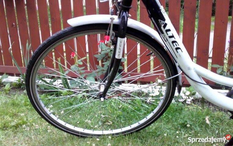 Damka holenderska okazja Miejskie Ciemino