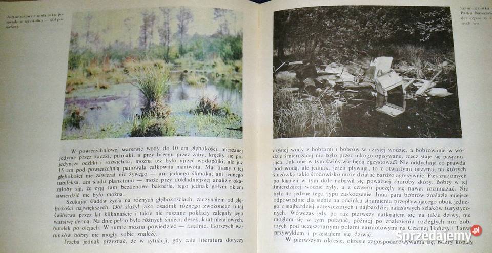 Kampinoskie bobry Piotr Topiński Rok wydania 1987 Pozostałe Chełm