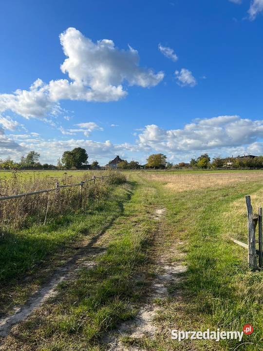 Działka budowlana 54zł/m2 Górzna