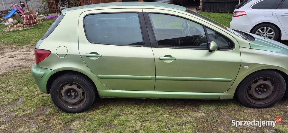 Sprzedam Peugeot 307 Sulechów sprzedam