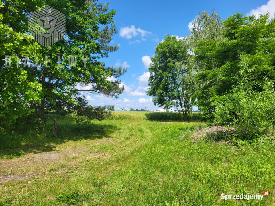 Działka do sprzedania Elżbietów 6400m2