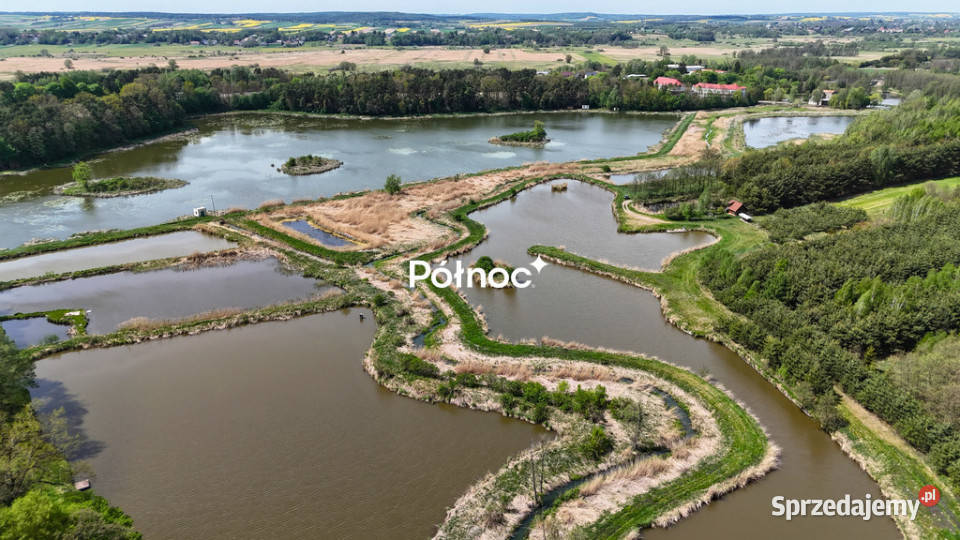 Malowniczy staw z potencjałem inwestycyjnym Nieruchomości Małochwiej Duży