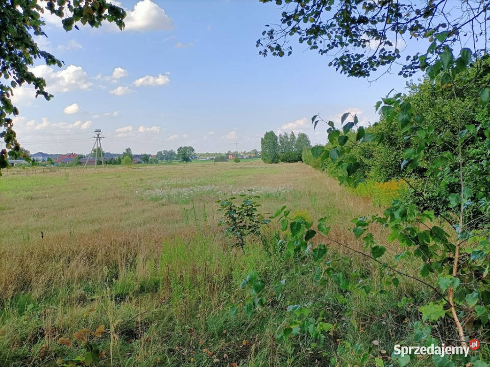 Dwie działki budowlane w Nowodworze gm Lubatów lubelskie Nowodwór sprzedam