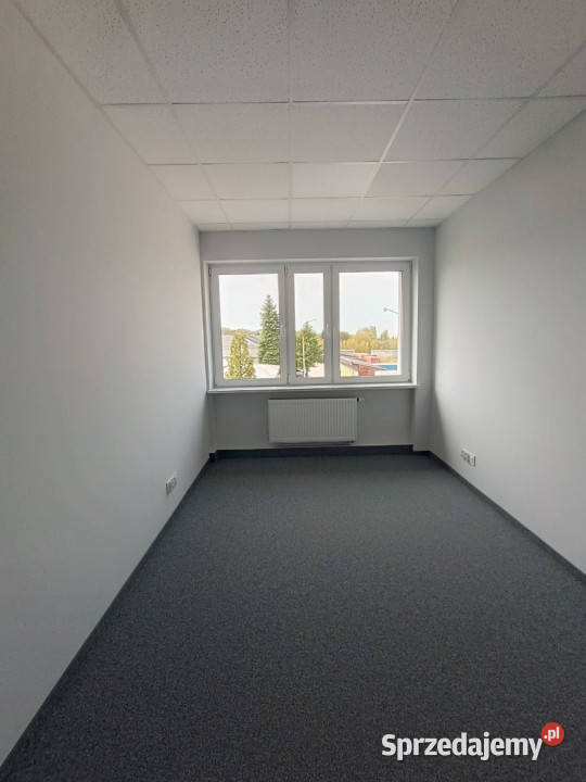 Lokal Kielce Kolberga 204 metry sprzedam