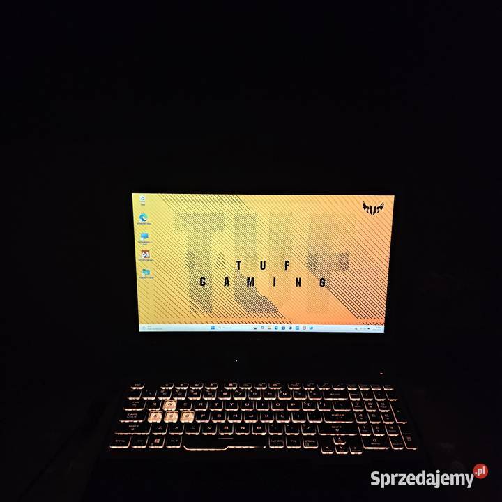 Asus TUF Gaming Ryzen 5 120Hz GTX1650 4GB16GB Asus